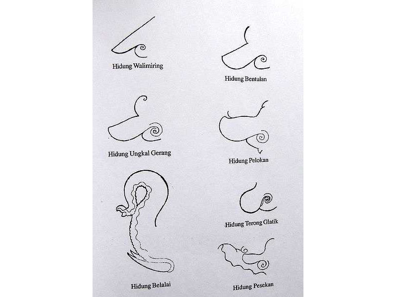 nose types